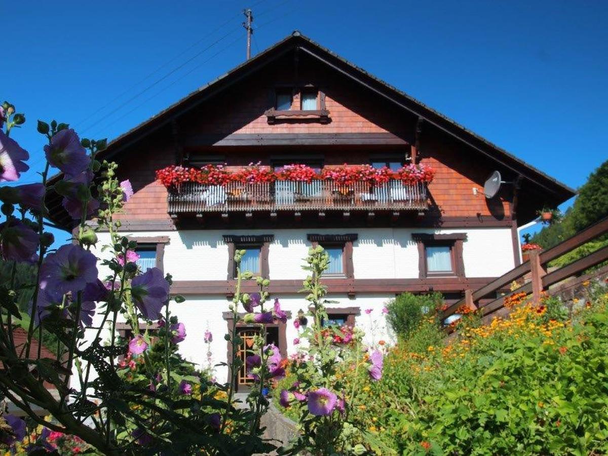 Gaestehaus Heimenberg Bad Rippoldsau-Schapbach Exterior photo